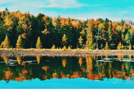 Trees Near Clear Calm Body of Water Under Blue and White Sky