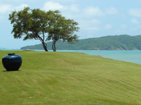 Tropical Garden by the Ocean
