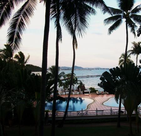 Tropical Swimming Pool