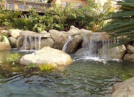 Tropical Water Garden