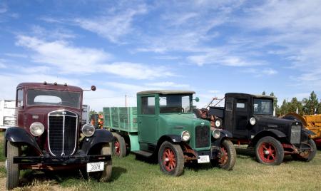 Trucks in the Workshop