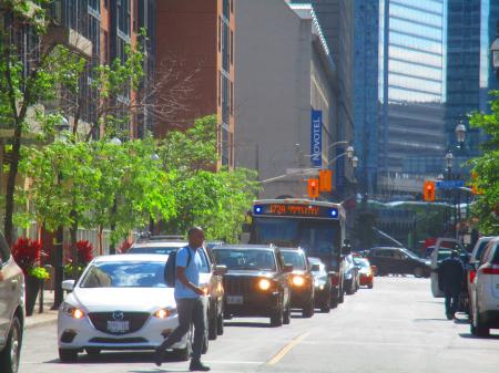 TTC bus, The Esplanade, 2016 06 09 -b