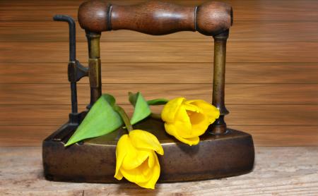 Tulips on the Iron