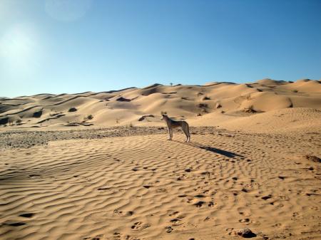 Tunisia 2015 026