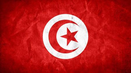 Tunisia Grunge Flag