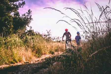 Two Bikers on Bush-lined Path