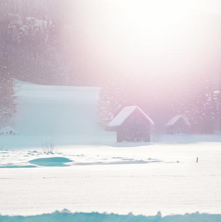 Two Brown Bungalows Above Snow Field