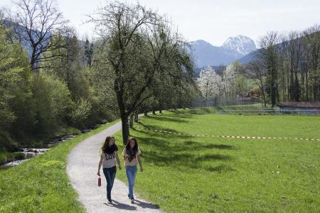 Two Friends Walking