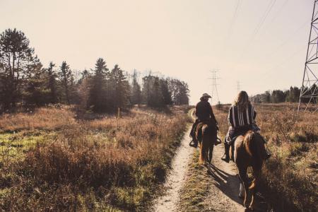 Two Men Riding on Brown Horse