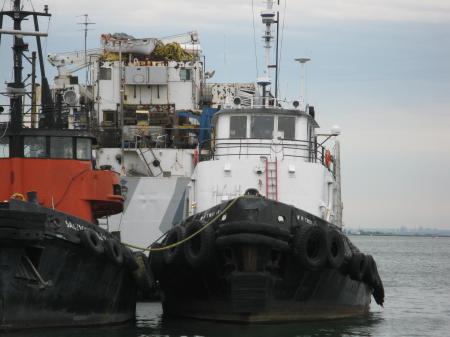 Two tugs -c.jpg