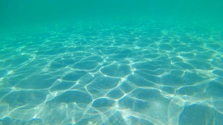 Underwater, Molat Island, Croatia