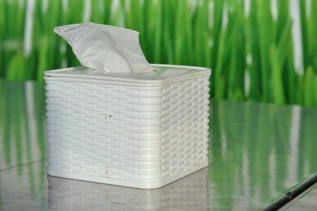 Unique Tissue Box