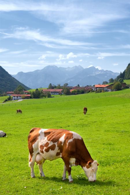 Upper Bavaria