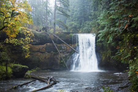 Upper North Falls, Silver Creek Park Oregon, Autumn Rain