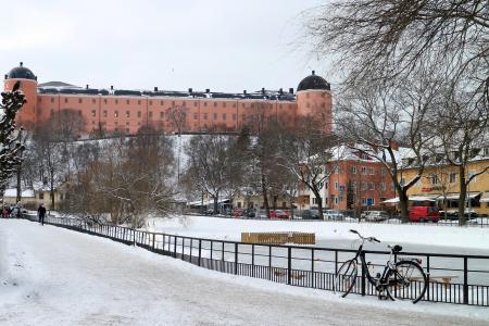 Uppsala slott och Svandammen i Uppsala