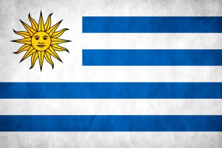 Uruguay Grunge Flag