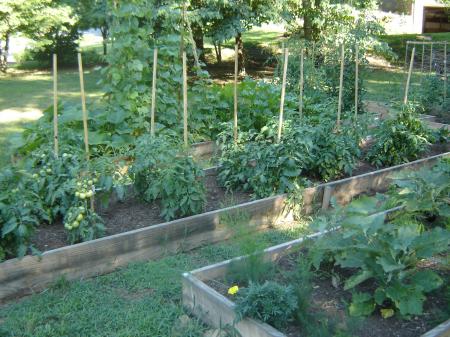 Vegetable Garden 2