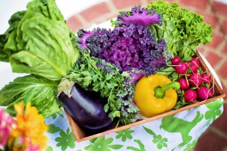 Vegetables in the Tray