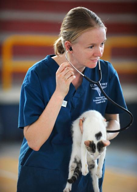 Veterinarian