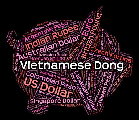 Vietnamese Dong Means Currency Exchange And Broker