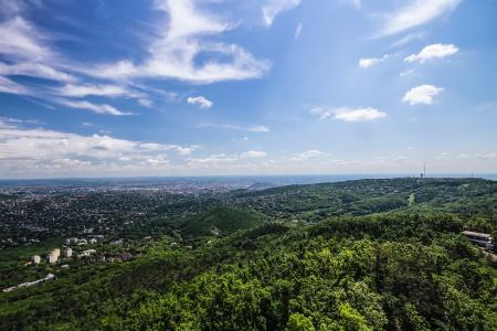 Village Surrounded by Green Trees Under Cloudy Blue Sky