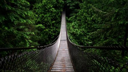 Vintage Bridge