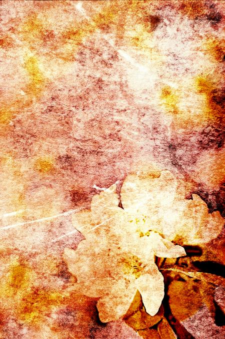 Vintage flower background