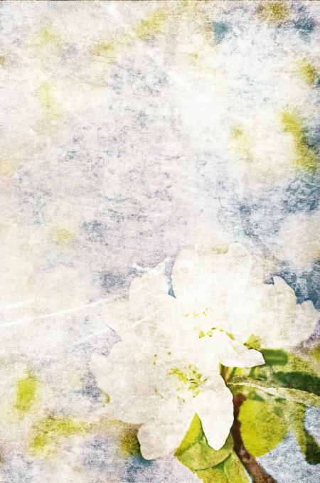 Vintage flower background