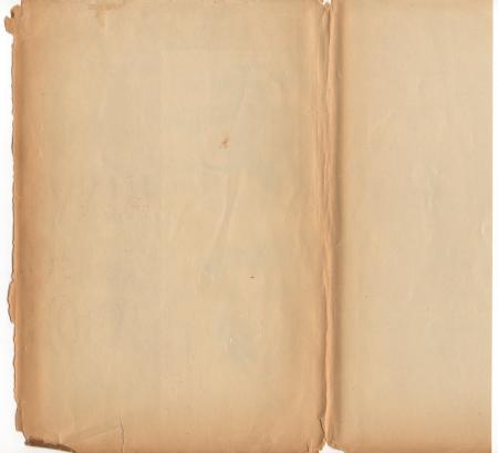 Vintage Paper Sleeve