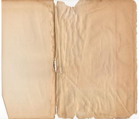 Vintage Paper Sleeve