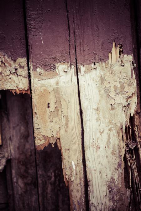 Vintage Wood Texture