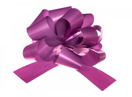 Violet Bow