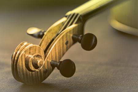 Violin - Scroll and Pegbox Close-Up - Retro Looks