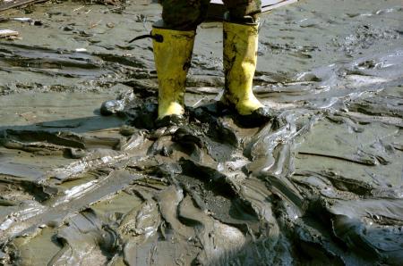 Walking on the Mud