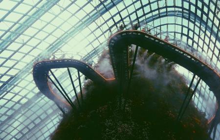 Walkway on Top of Indoor Garden