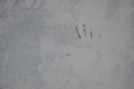 Wall texture with handprint