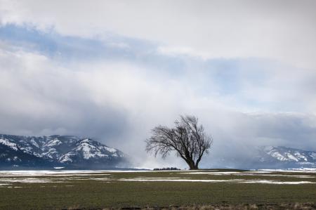 Wallowa Mountains, Snowing