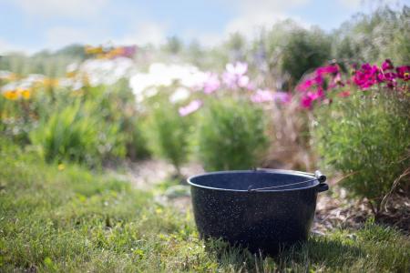 Washtub in the Garden