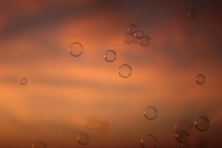 Water Drops in Time Lapse Photography