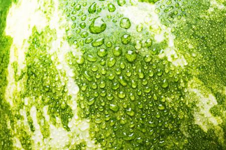 Water drops on watermelon