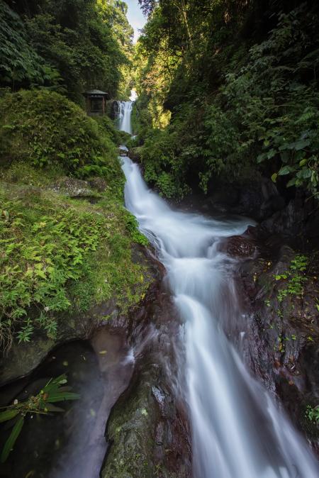 Water Falls Between Plant and Tree during Daytime in Time Lapse Photo