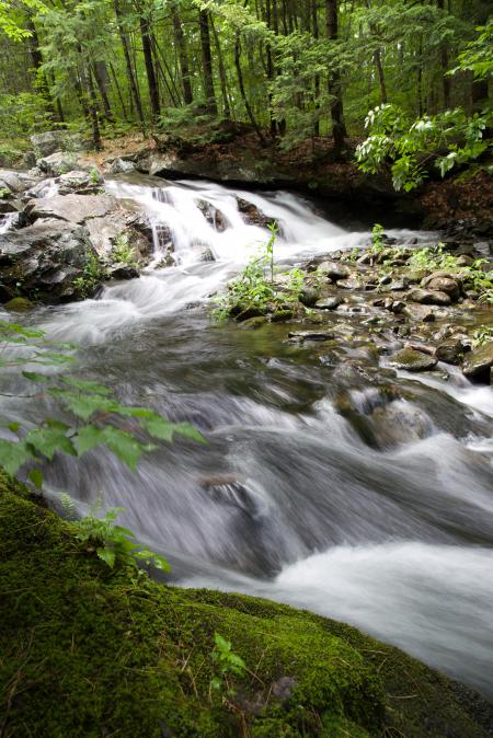 Water Falls during Day Time