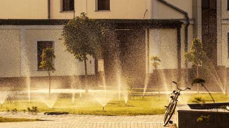 Water Fountain in the Lawn