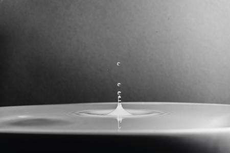 Water in Grayscale and Micro Photography