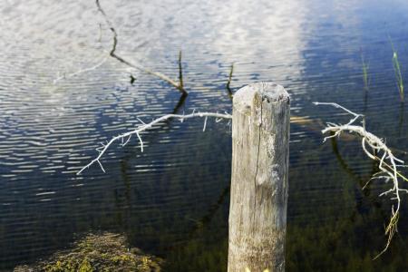 water scene