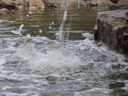 Water Splashing