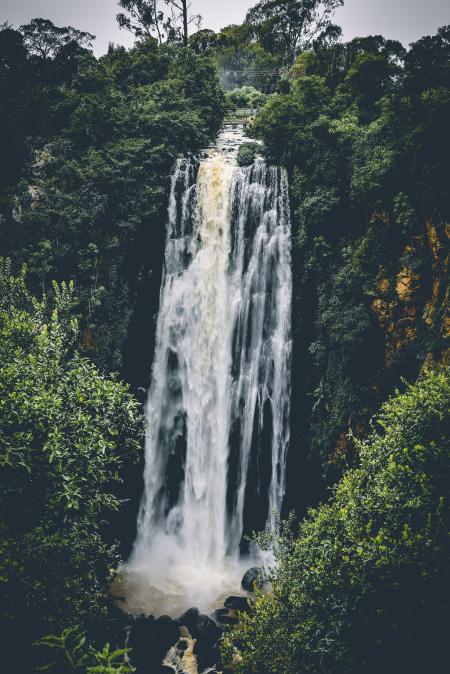 Waterfall Between Trees