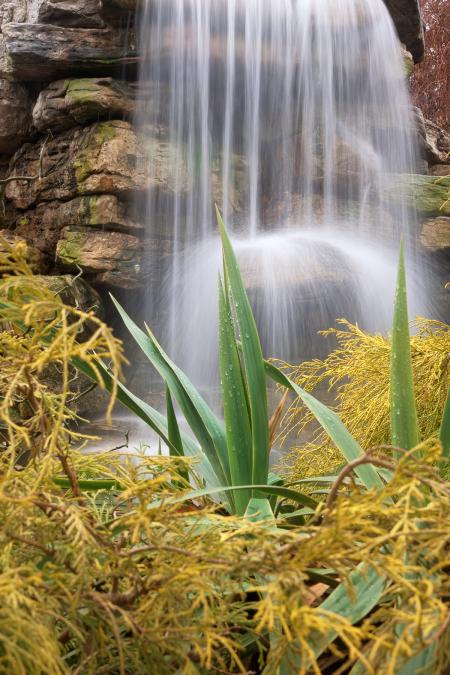 Waterfall Foliage - HDR