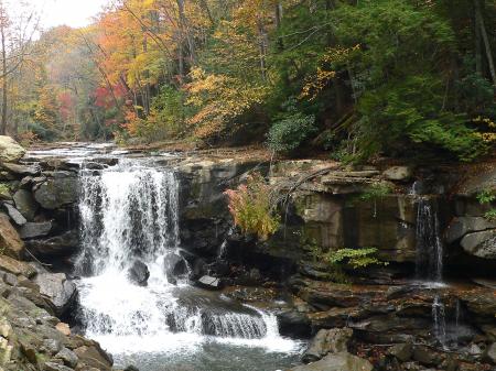 Waterfall in the Jungle