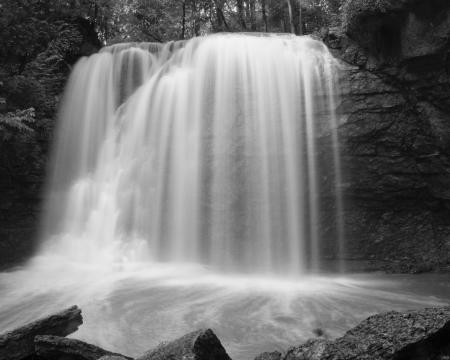 Waterfall in the Jungle